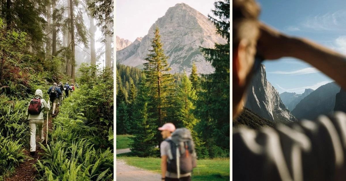 Forest and mountain hiking collage from the supplied Tskaltubo programme